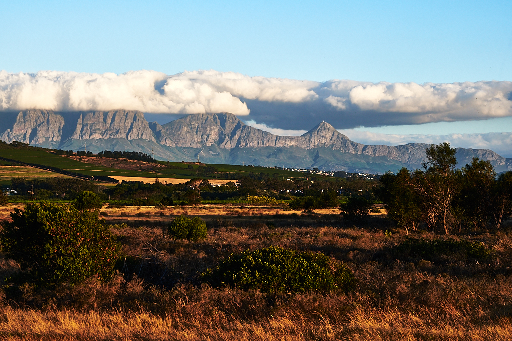 DST16716-1.jpg?i=15734300