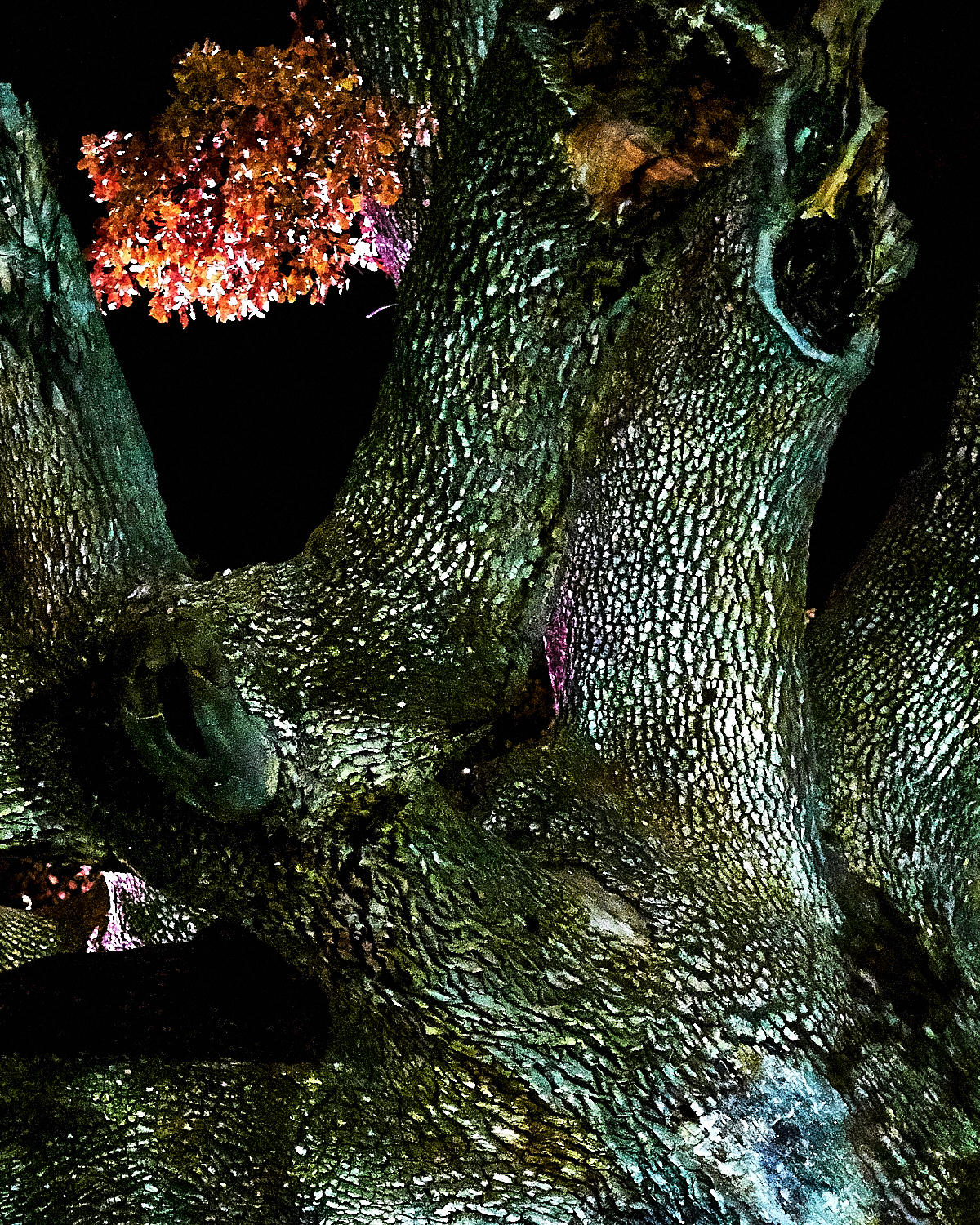 DSC10895-1.jpg?i=430286964