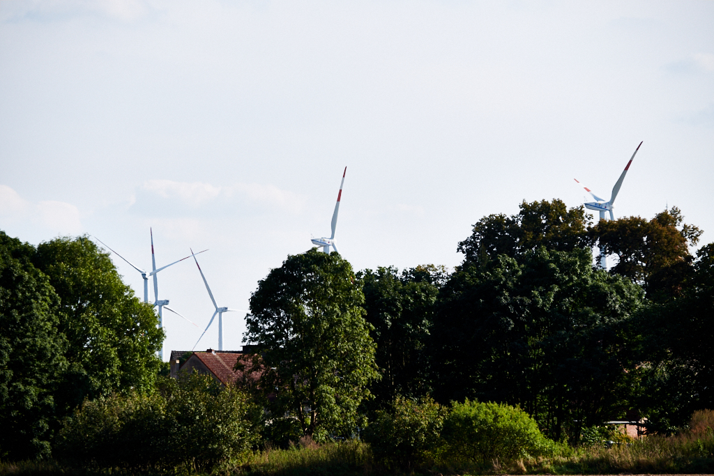 DSCF1003.jpg?i=1245569799