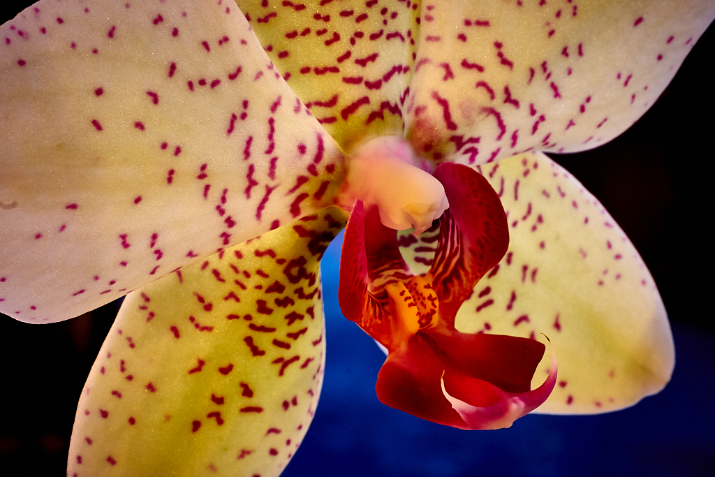 DST23635.jpg?i=1308530636