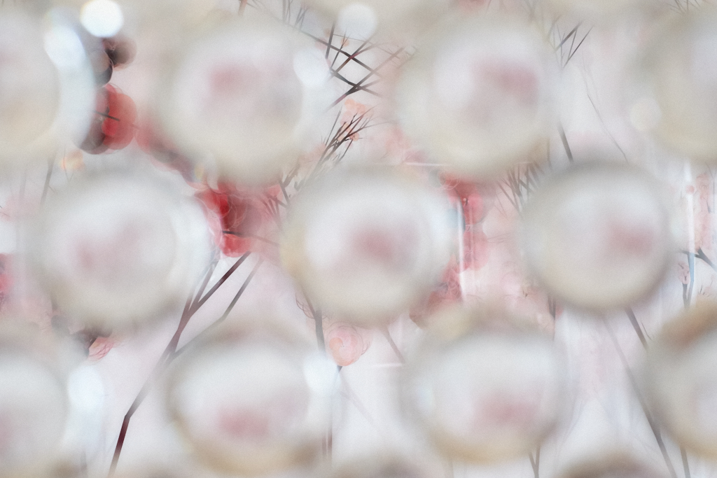 DST23365.jpg?i=1501418676