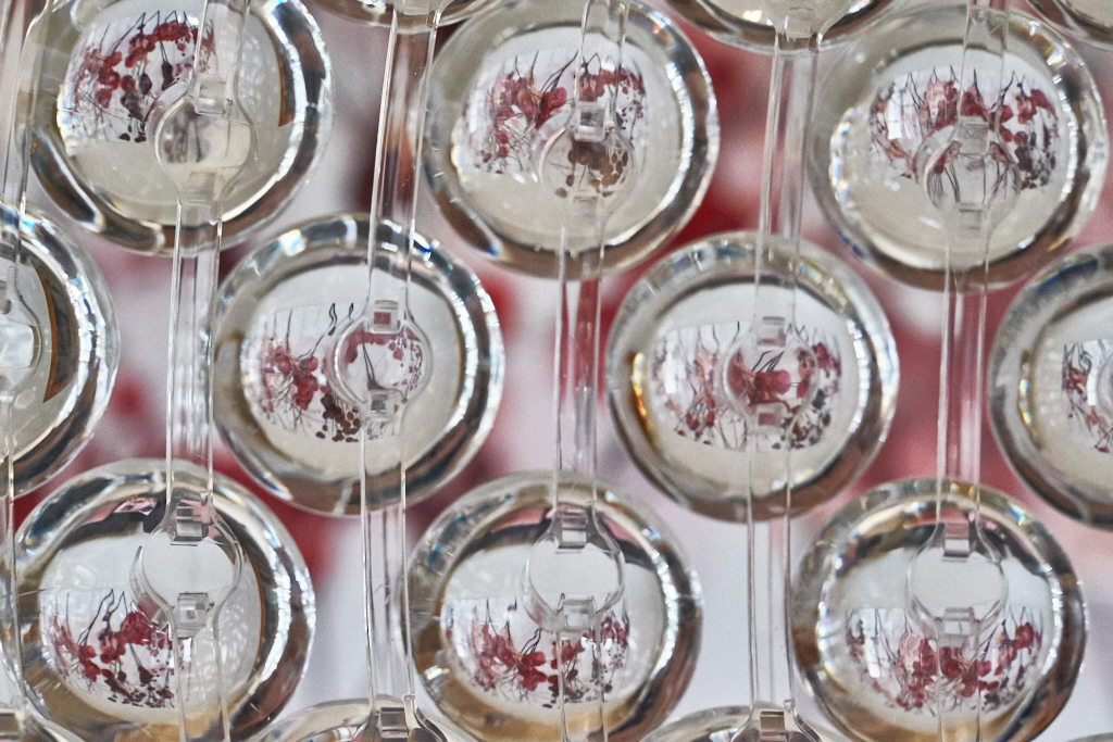 DST23370.jpg?i=1104090783