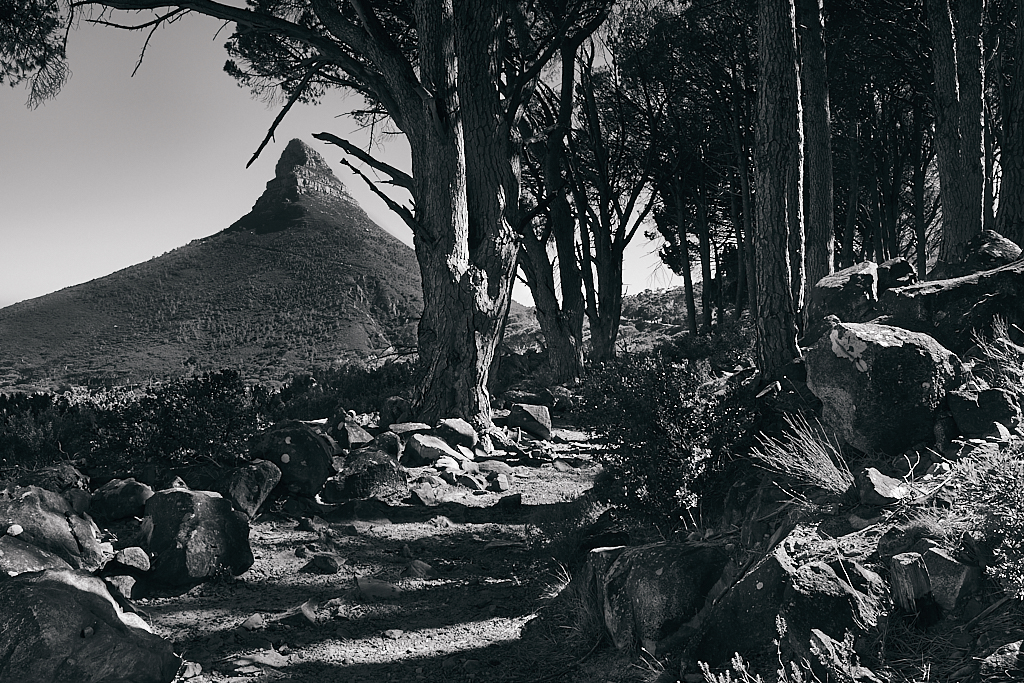 DSCF7052.jpg?i=770802686