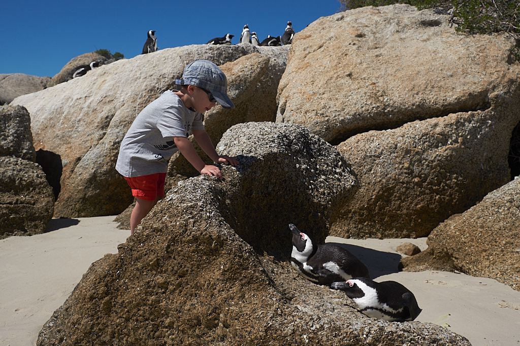 DSCF7971.jpg?i=1999761060