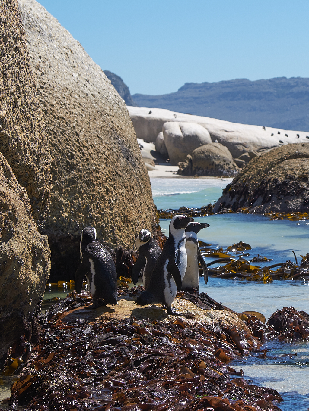 DSCF7987.jpg?i=1450173906