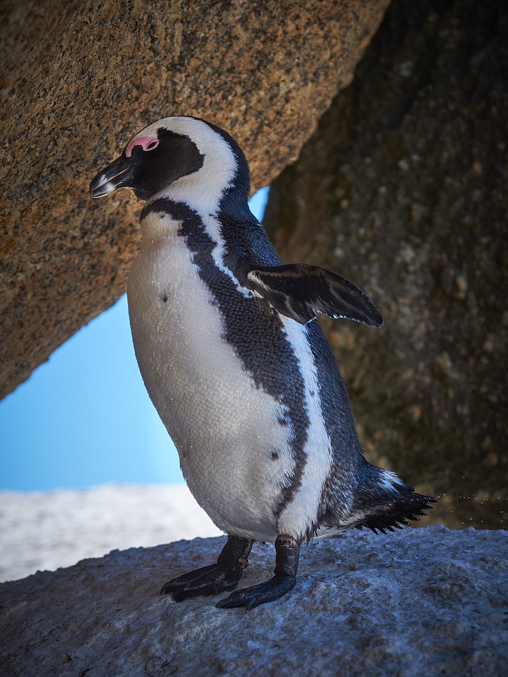 DSCF8139-1.jpg?i=2115742408