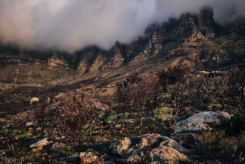 DSCF8373.jpg?i=1244860319