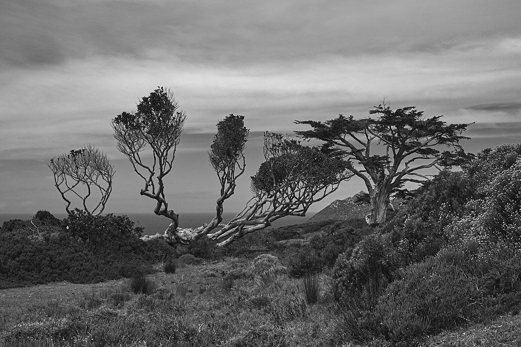 DSCF8494-2.jpg?i=602390884