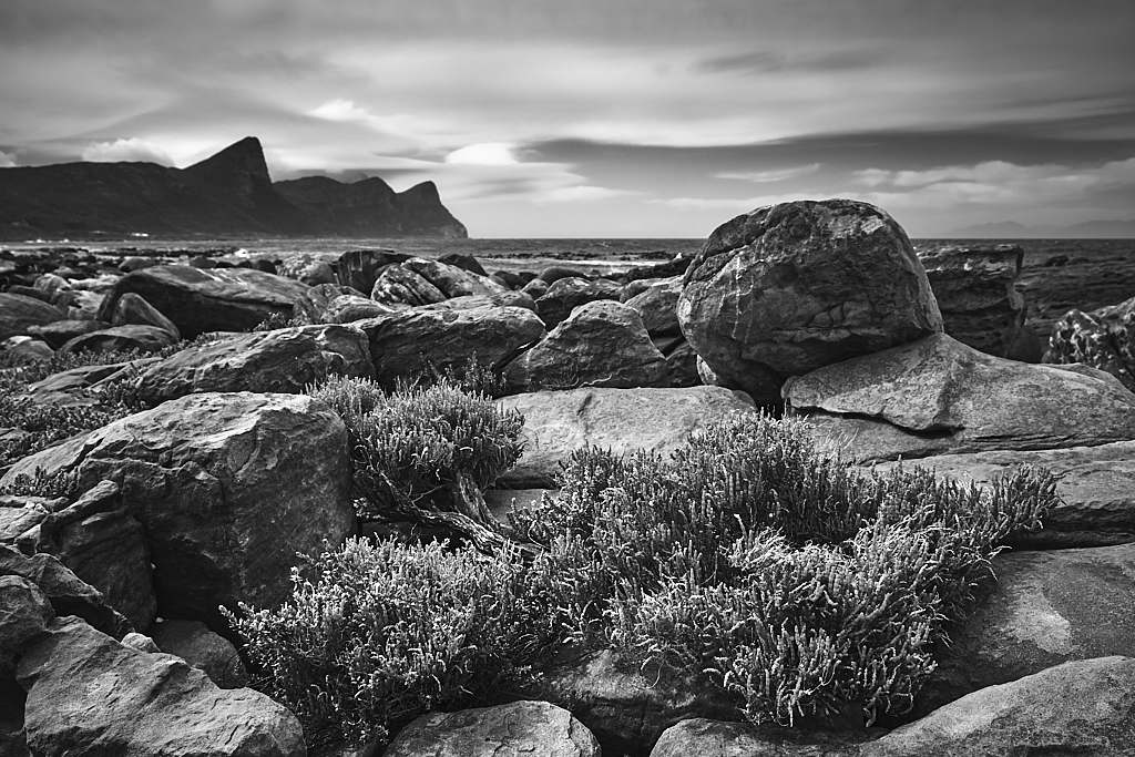 DSCF8552-1.jpg?i=1161015706