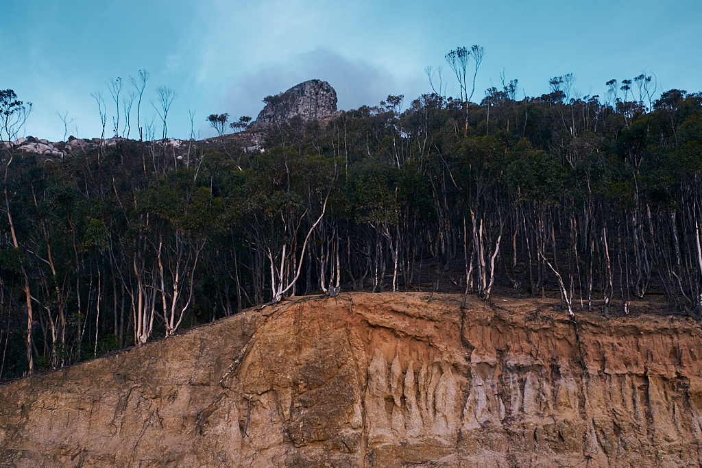 DSCF8656.jpg?i=361124187