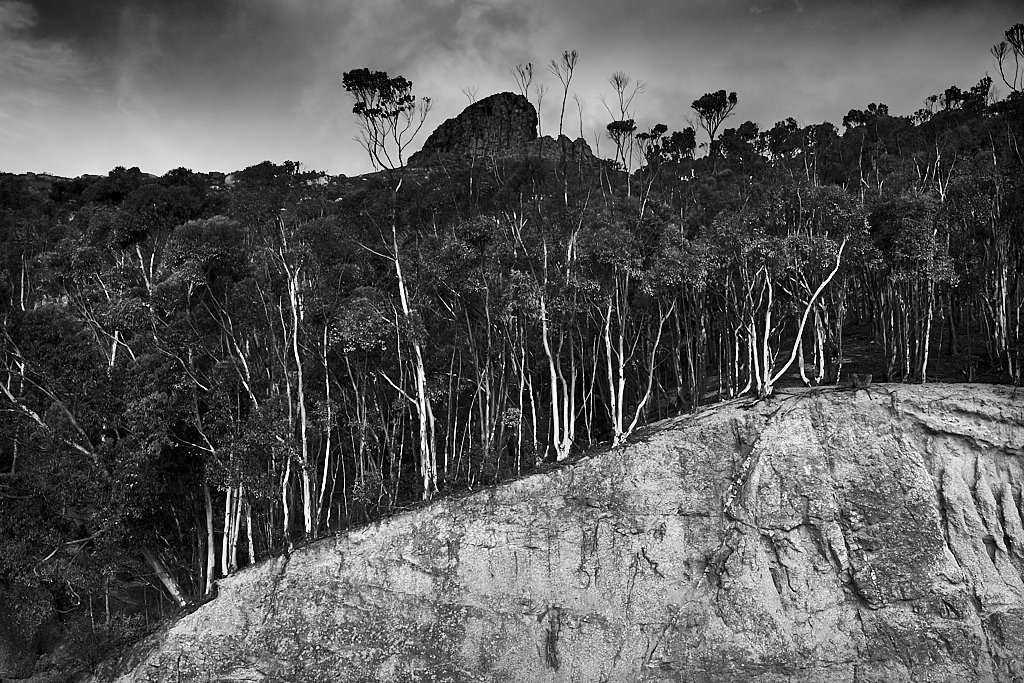 DSCF8657-1.jpg?i=1067884602