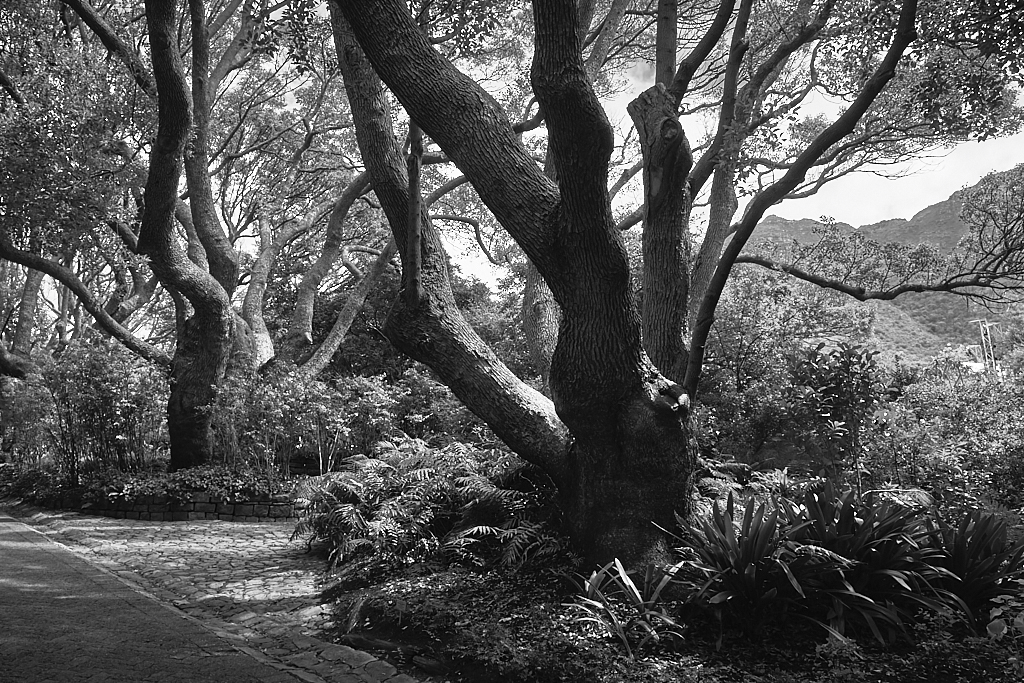 DSCF8745.jpg?i=296486846