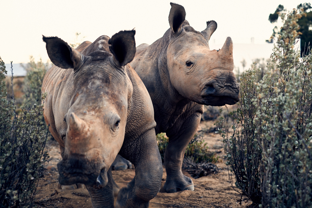 DSCF2797.jpg?i=541953653