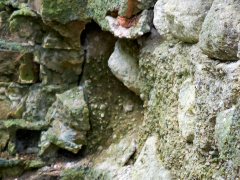 DSCF0068-1.jpg?i=345476059