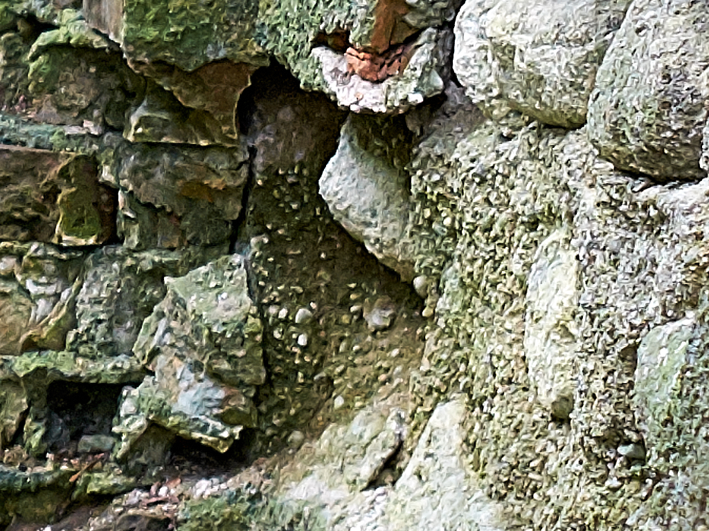 DSCF0068.jpg?i=1199172537