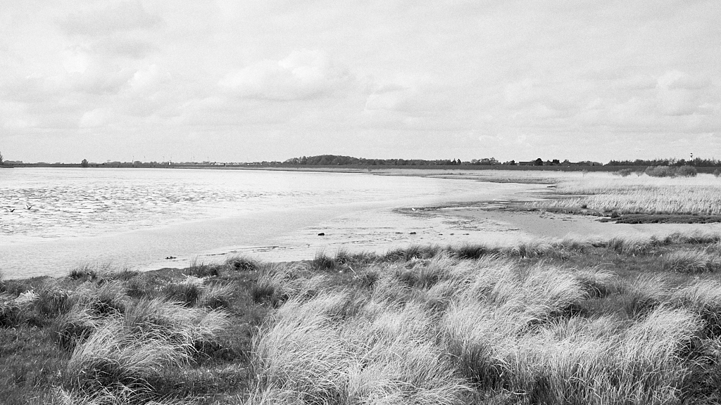 DSCF0213-3.jpg?i=1800647466