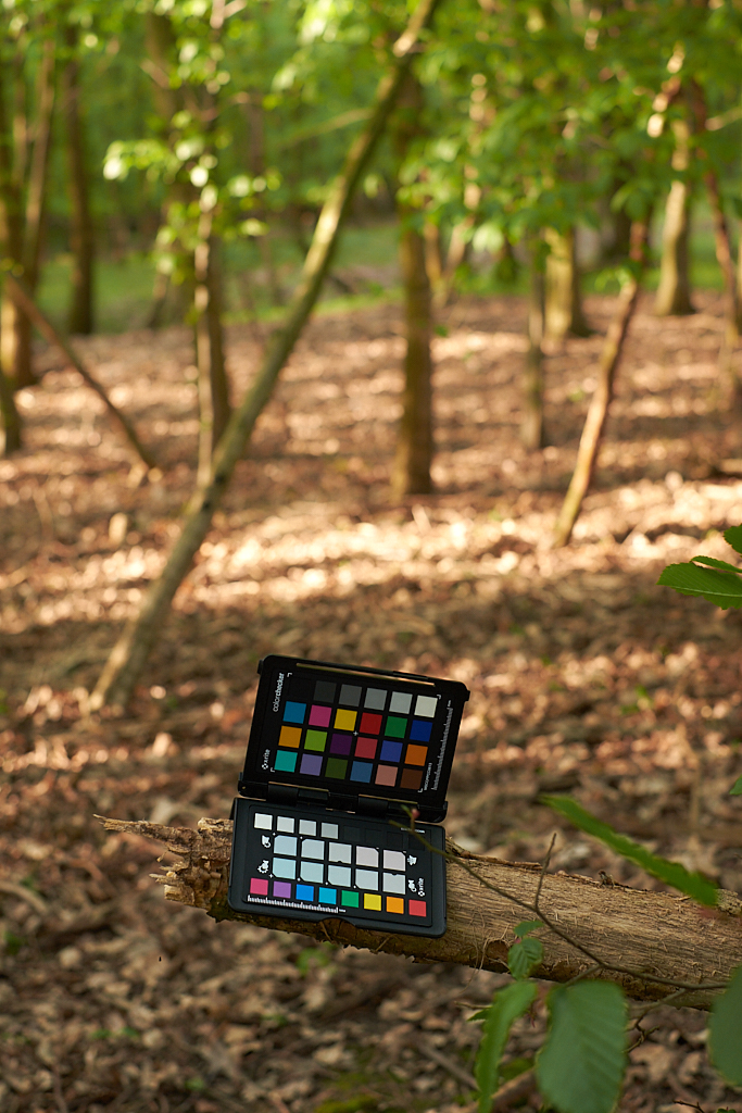 DSCF9420.jpg?i=1789628144