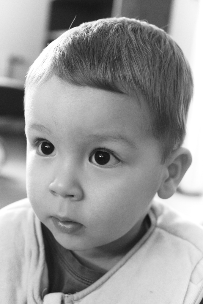 DSCF0290.jpg?i=1271462356