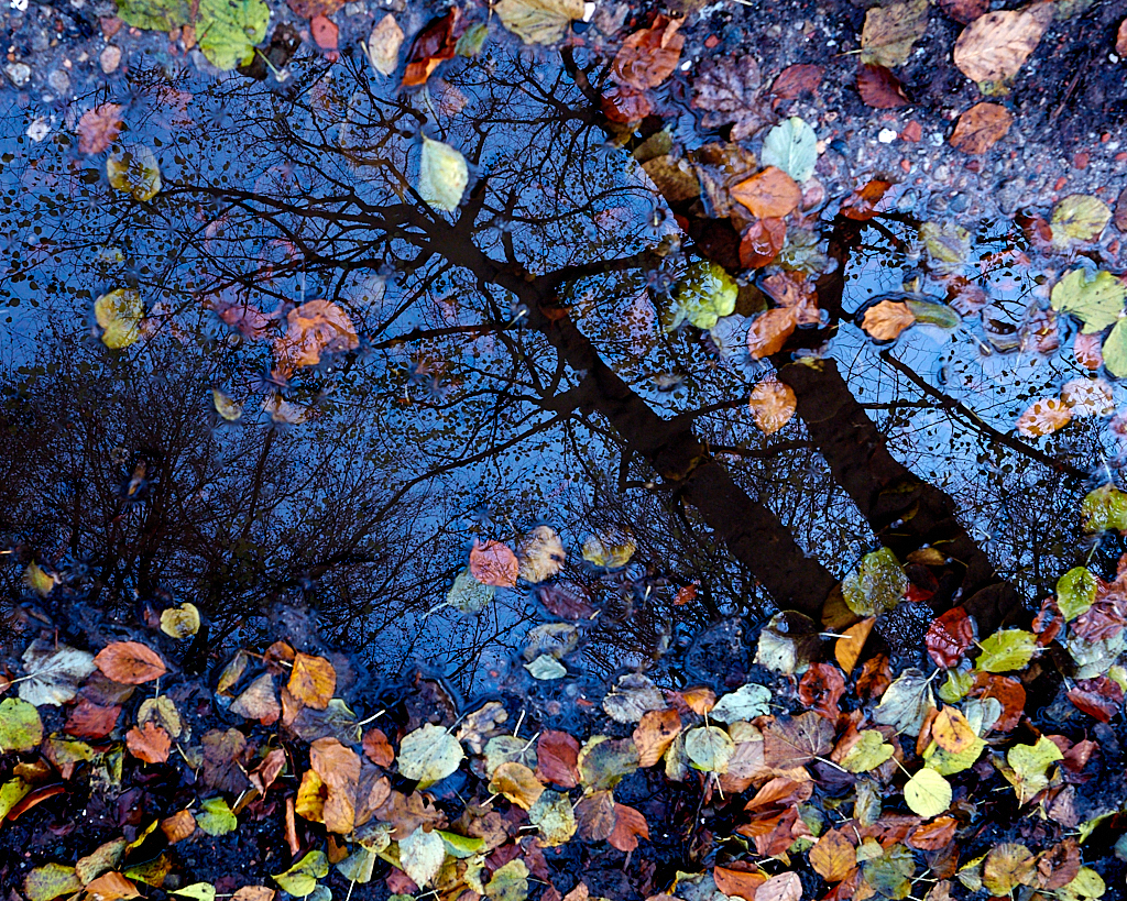 DSCF6032.jpg?i=65968338