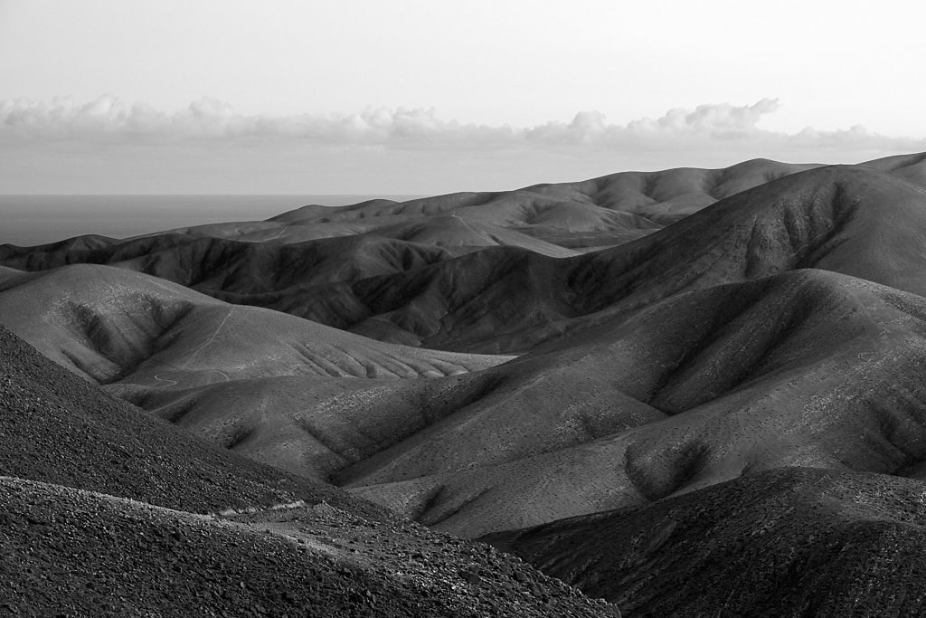 DT2F2228.jpg?i=552147132