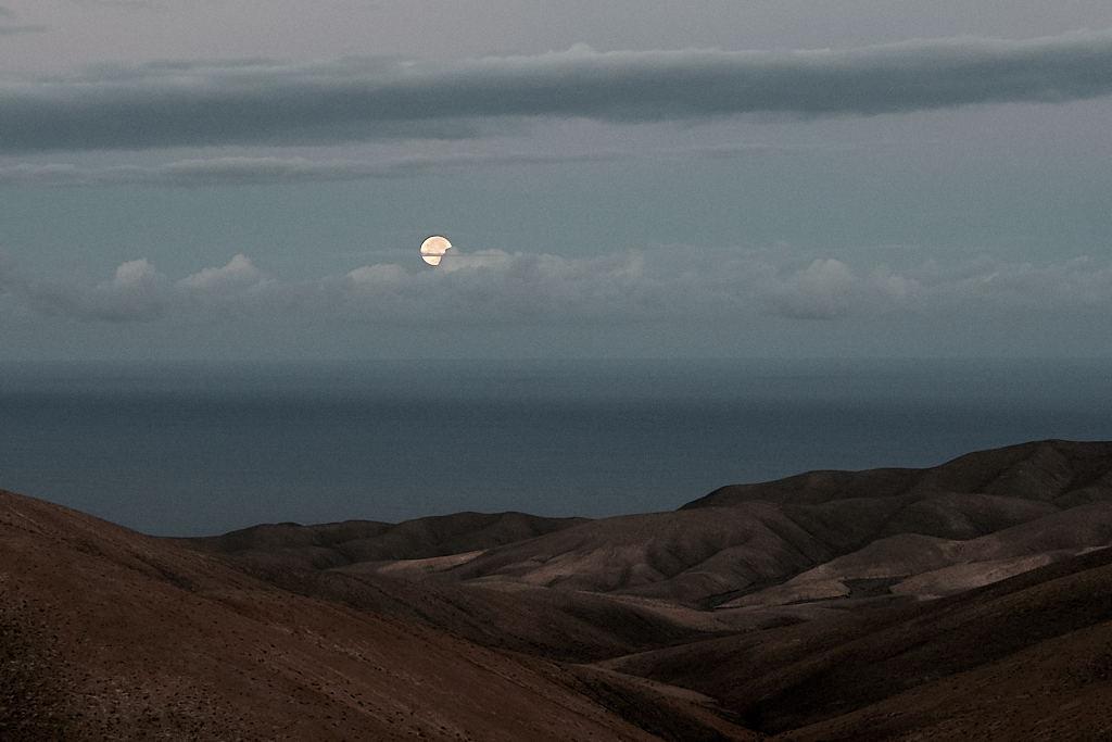 DT2F2232-1.jpg?i=1258117