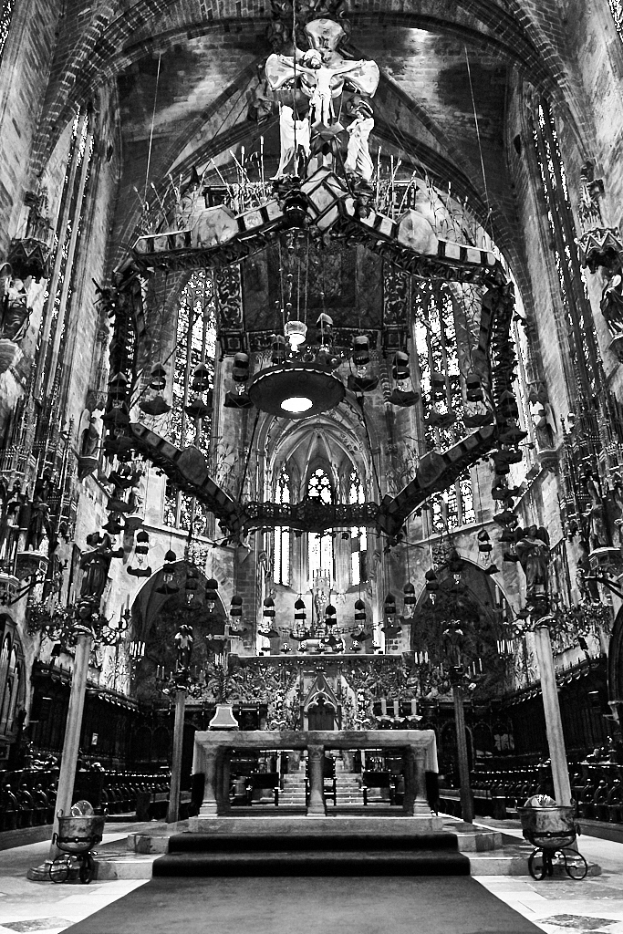 DST20206.jpg?i=377669340