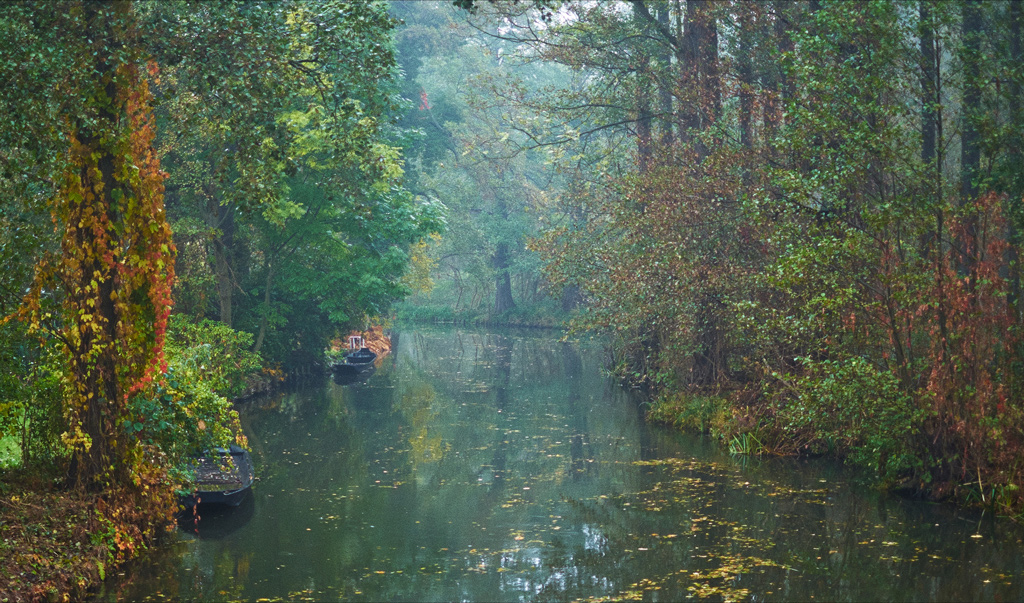 DSCF0854_C1_hpx.jpg?i=1754190493