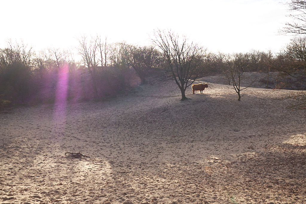 DSCF5129.jpg?i=990422655