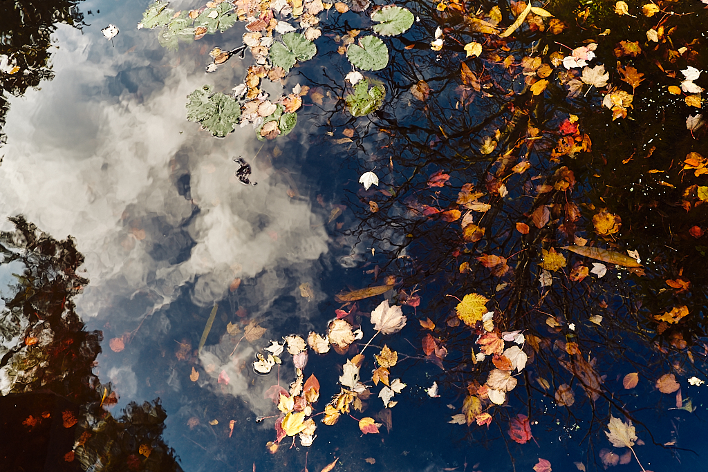 DSCF5369.jpg?i=990689755