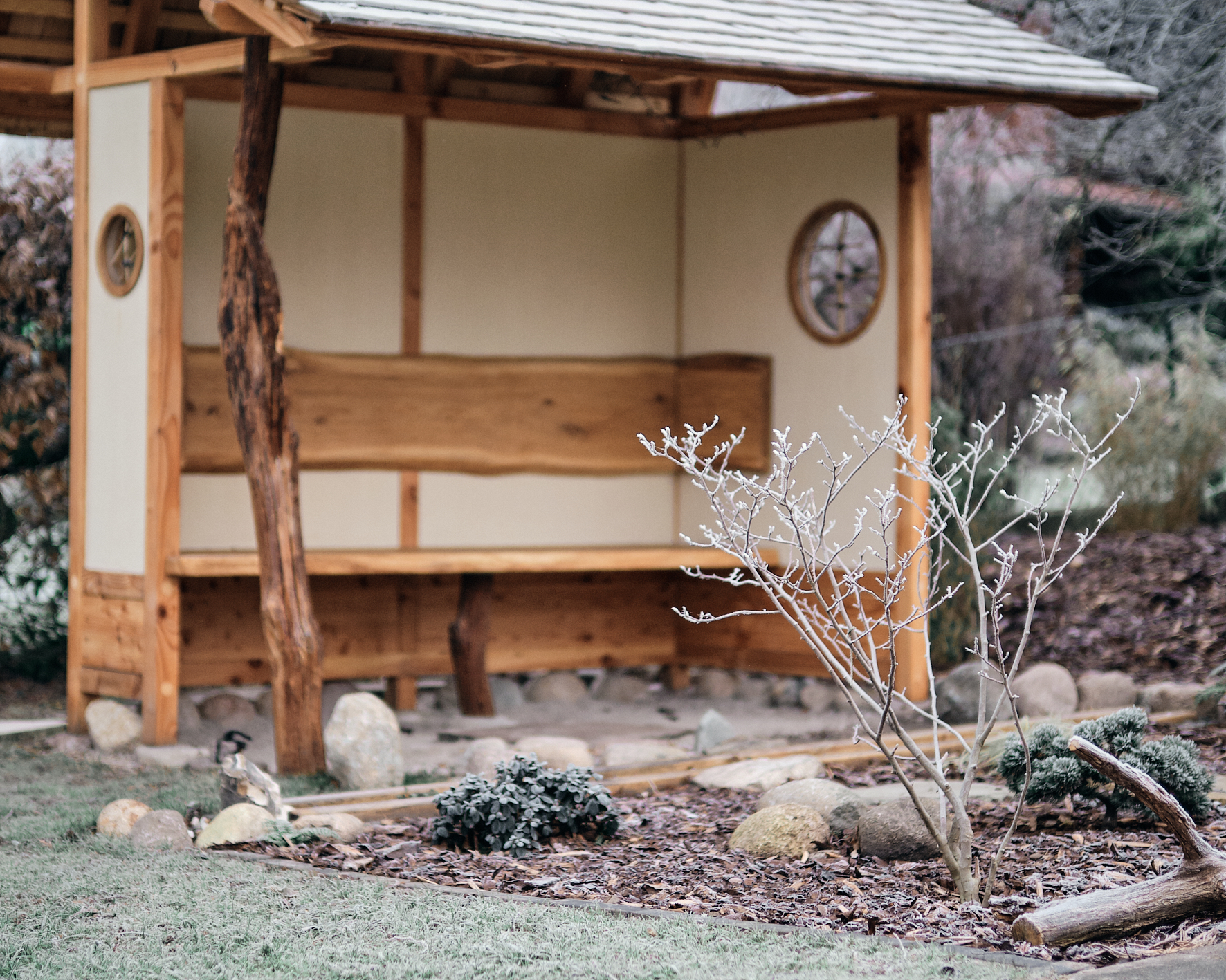 DSCF9531.jpg?i=342880287