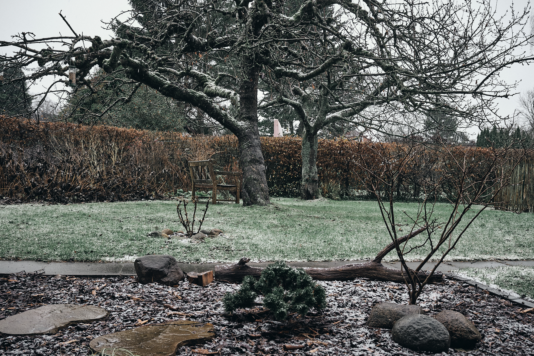 DT2F1804.jpg?i=263860505